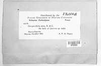 Image Associated With the Occurence
